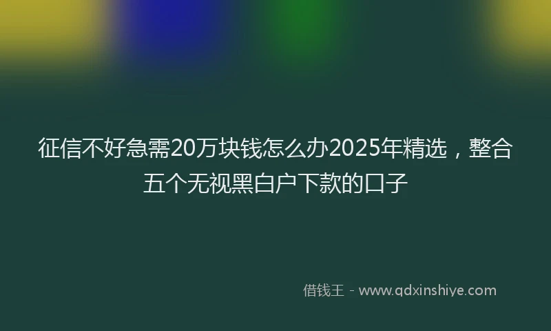 征信不好急需20万块钱怎么办2025年精选，整合五个无视黑白户下款的口子