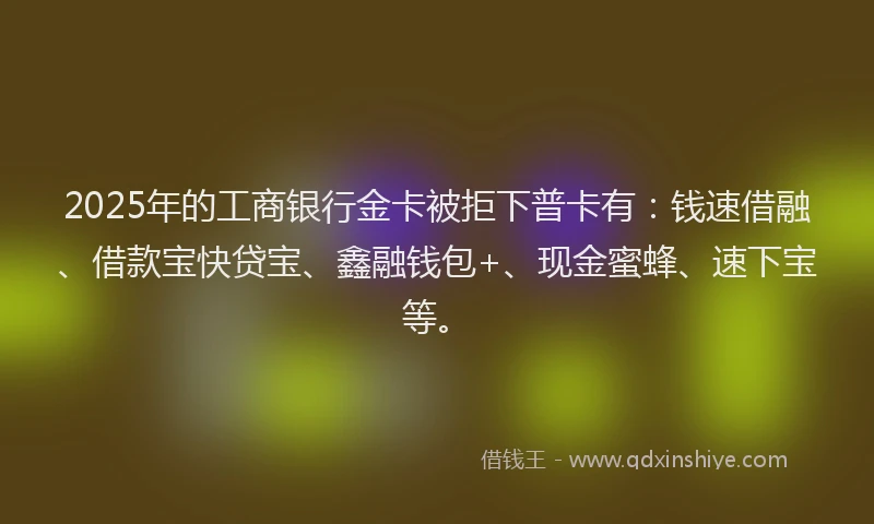 2025年的工商银行金卡被拒下普卡有：钱速借融、借款宝快贷宝、鑫融钱包+、现金蜜蜂、速下宝等。