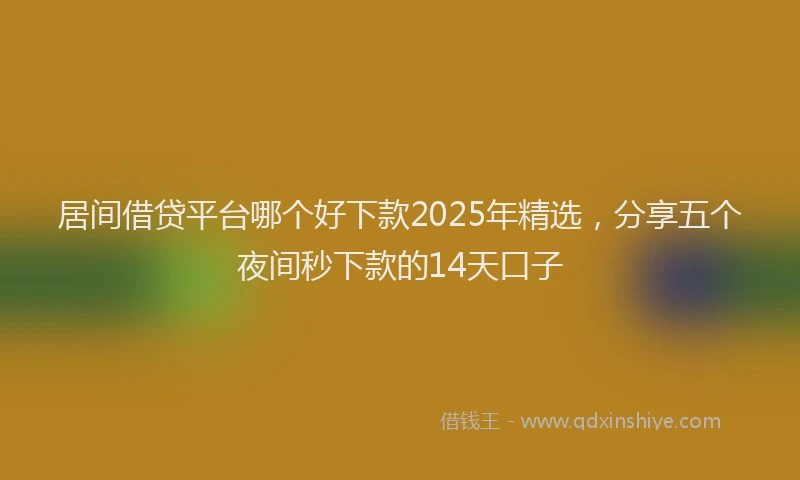 居间借贷平台哪个好下款2025年精选，分享五个夜间秒下款的14天口子