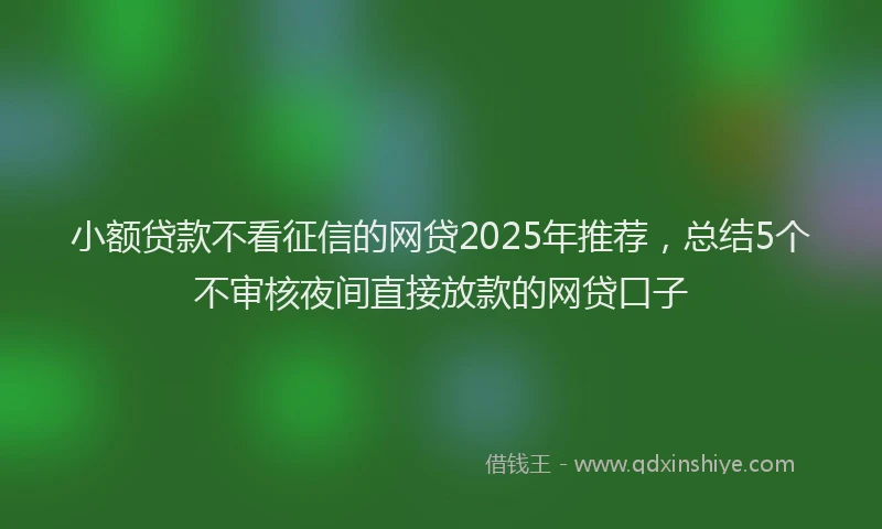 小额贷款不看征信的网贷2025年推荐，总结5个不审核夜间直接放款的网贷口子