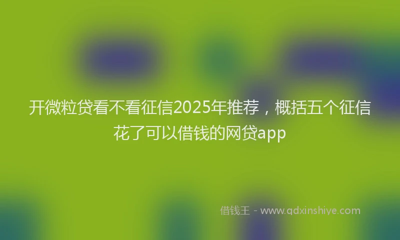 开微粒贷看不看征信2025年推荐，概括五个征信花了可以借钱的网贷app