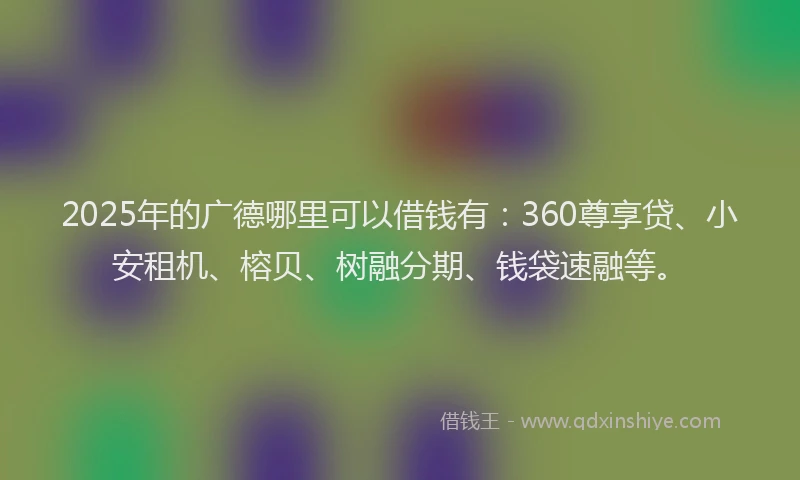 2025年的广德哪里可以借钱有：360尊享贷、小安租机、榕贝、树融分期、钱袋速融等。