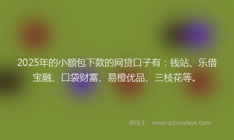 2025年的小额包下款的网贷口子有：钱站、乐借宝融、口袋财富、易橙优品、三枝花等。