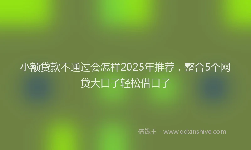 小额贷款不通过会怎样2025年推荐，整合5个网贷大口子轻松借口子