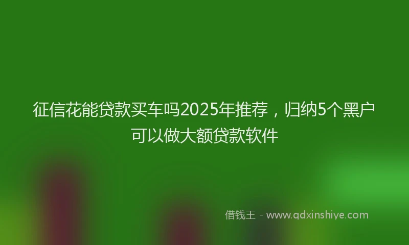 征信花能贷款买车吗2025年推荐，归纳5个黑户可以做大额贷款软件