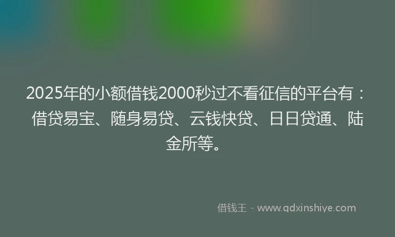 2025年的小额借钱2000秒过不看征信的平台有：借贷易宝、随身易贷、云钱快贷、日日贷通、陆金所等。