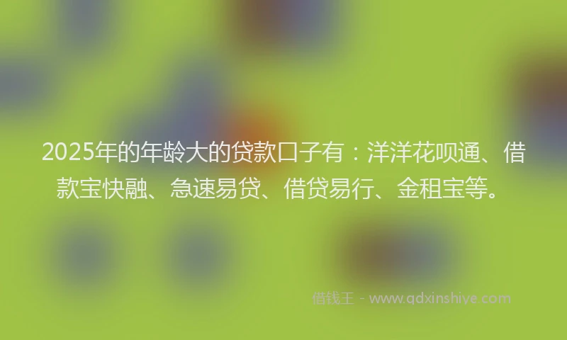 2025年的年龄大的贷款口子有：洋洋花呗通、借款宝快融、急速易贷、借贷易行、金租宝等。
