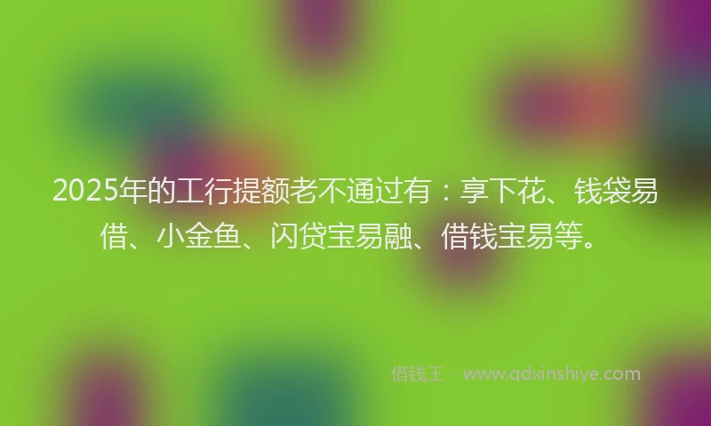 2025年的工行提额老不通过有：享下花、钱袋易借、小金鱼、闪贷宝易融、借钱宝易等。