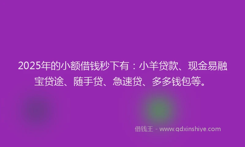 2025年的小额借钱秒下有：小羊贷款、现金易融宝贷途、随手贷、急速贷、多多钱包等。