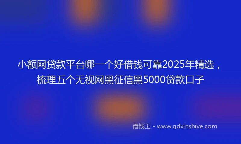 小额网贷款平台哪一个好借钱可靠2025年精选，梳理五个无视网黑征信黑5000贷款口子