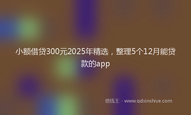 小额借贷300元2025年精选，整理5个12月能贷款的app