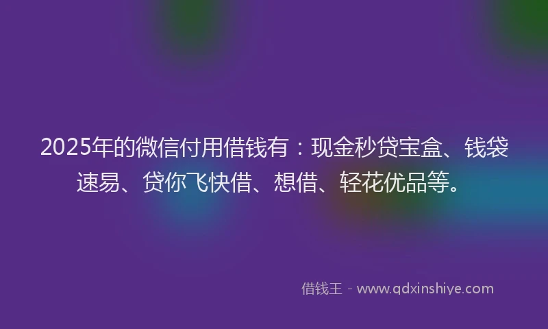 2025年的微信付用借钱有：现金秒贷宝盒、钱袋速易、贷你飞快借、想借、轻花优品等。