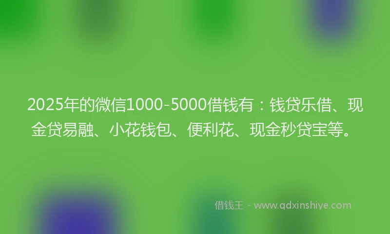 2025年的微信1000-5000借钱有：钱贷乐借、现金贷易融、小花钱包、便利花、现金秒贷宝等。