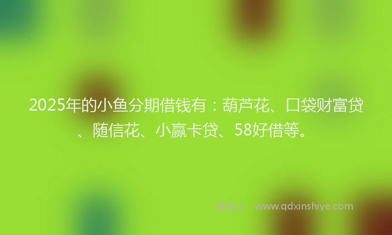 2025年的小鱼分期借钱有：葫芦花、口袋财富贷、随信花、小赢卡贷、58好借等。