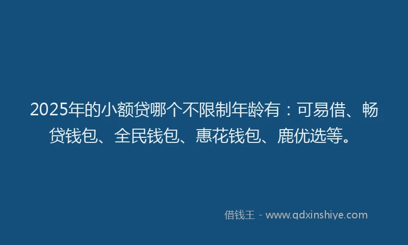 2025年的小额贷哪个不限制年龄有：可易借、畅贷钱包、全民钱包、惠花钱包、鹿优选等。