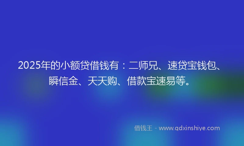2025年的小额贷借钱有：二师兄、速贷宝钱包、瞬信金、天天购、借款宝速易等。