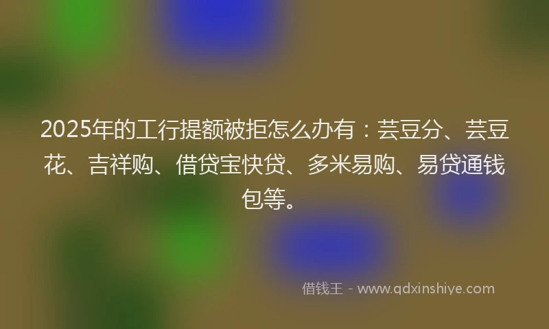 2025年的工行提额被拒怎么办有：芸豆分、芸豆花、吉祥购、借贷宝快贷、多米易购、易贷通钱包等。