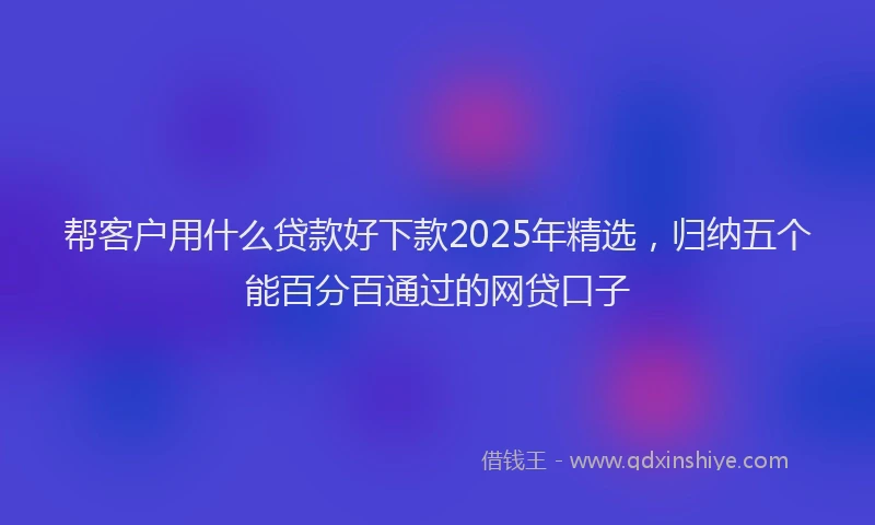 帮客户用什么贷款好下款2025年精选，归纳五个能百分百通过的网贷口子