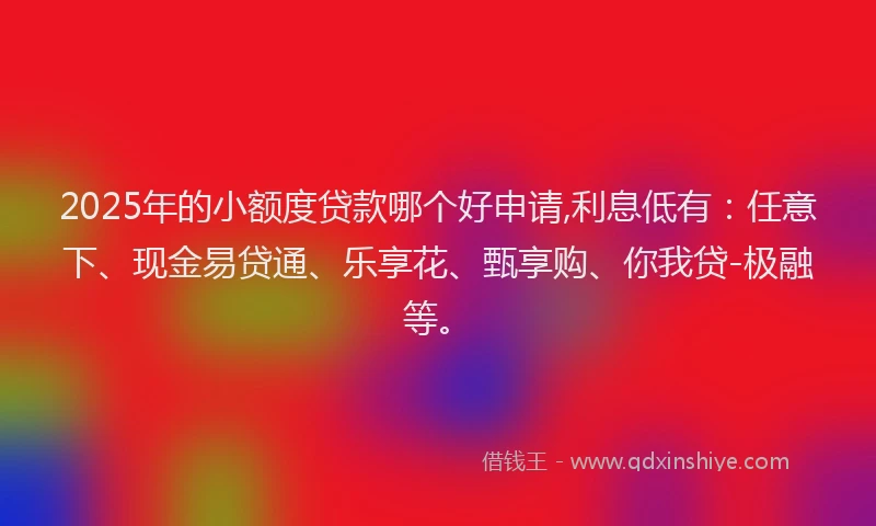 2025年的小额度贷款哪个好申请,利息低有：任意下、现金易贷通、乐享花、甄享购、你我贷-极融等。