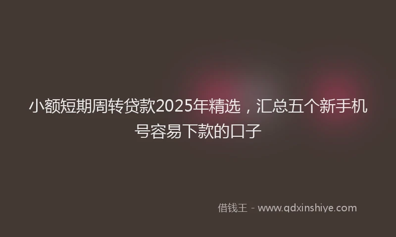 小额短期周转贷款2025年精选，汇总五个新手机号容易下款的口子