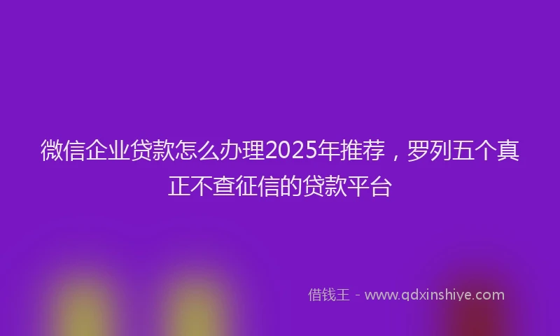 微信企业贷款怎么办理2025年推荐，罗列五个真正不查征信的贷款平台