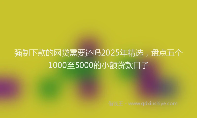 强制下款的网贷需要还吗2025年精选，盘点五个1000至5000的小额贷款口子