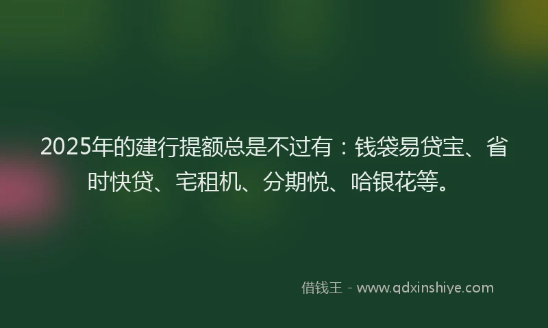 2025年的建行提额总是不过有：钱袋易贷宝、省时快贷、宅租机、分期悦、哈银花等。