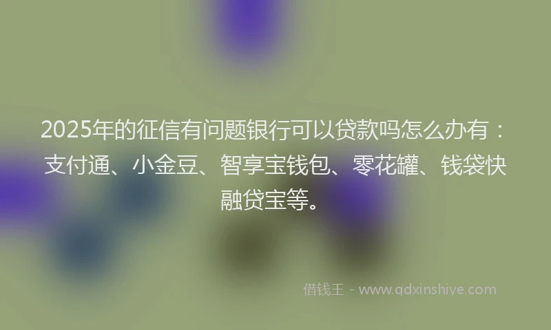 2025年的征信有问题银行可以贷款吗怎么办有：支付通、小金豆、智享宝钱包、零花罐、钱袋快融贷宝等。