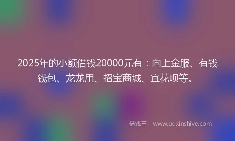 2025年的小额借钱20000元有：向上金服、有钱钱包、龙龙用、招宝商城、宜花呗等。
