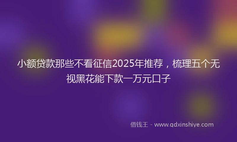 小额贷款那些不看征信2025年推荐，梳理五个无视黑花能下款一万元口子