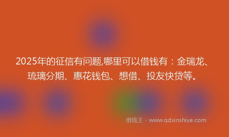 2025年的征信有问题,哪里可以借钱有：金瑞龙、琉璃分期、惠花钱包、想借、投友快贷等。