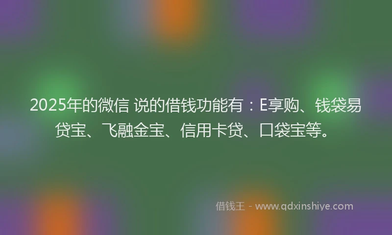 2025年的微信 说的借钱功能有：E享购、钱袋易贷宝、飞融金宝、信用卡贷、口袋宝等。