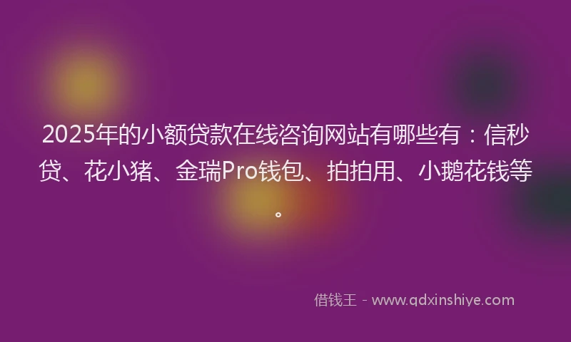 2025年的小额贷款在线咨询网站有哪些有：信秒贷、花小猪、金瑞Pro钱包、拍拍用、小鹅花钱等。