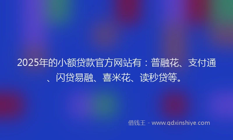 2025年的小额贷款官方网站有：普融花、支付通、闪贷易融、喜米花、读秒贷等。