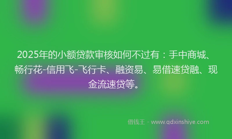 2025年的小额贷款审核如何不过有：手中商城、畅行花-信用飞-飞行卡、融资易、易借速贷融、现金流速贷等。