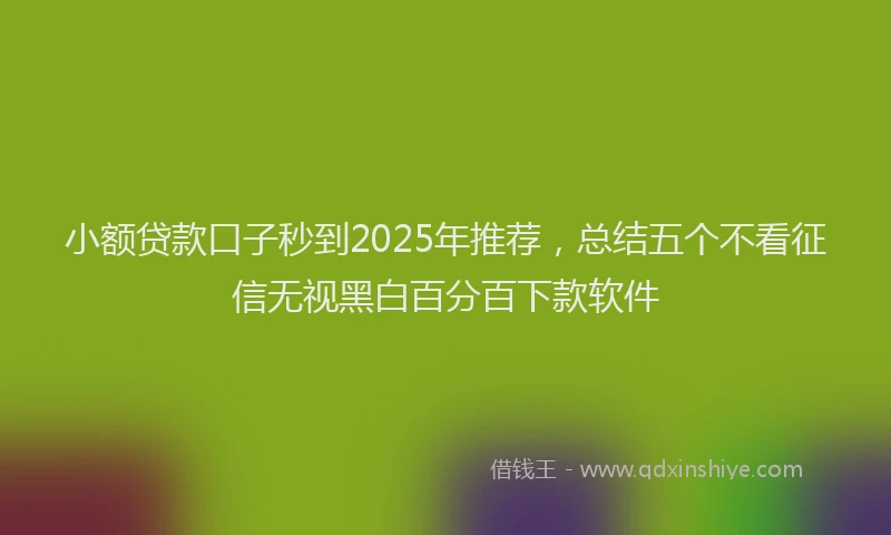 小额贷款口子秒到2025年推荐，总结五个不看征信无视黑白百分百下款软件