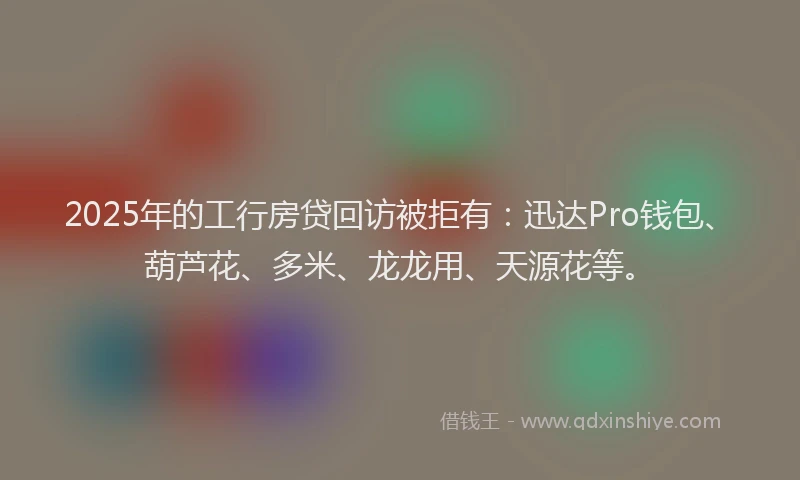 2025年的工行房贷回访被拒有：迅达Pro钱包、葫芦花、多米、龙龙用、天源花等。