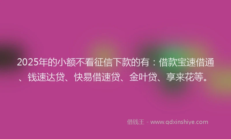 2025年的小额不看征信下款的有：借款宝速借通、钱速达贷、快易借速贷、金叶贷、享来花等。