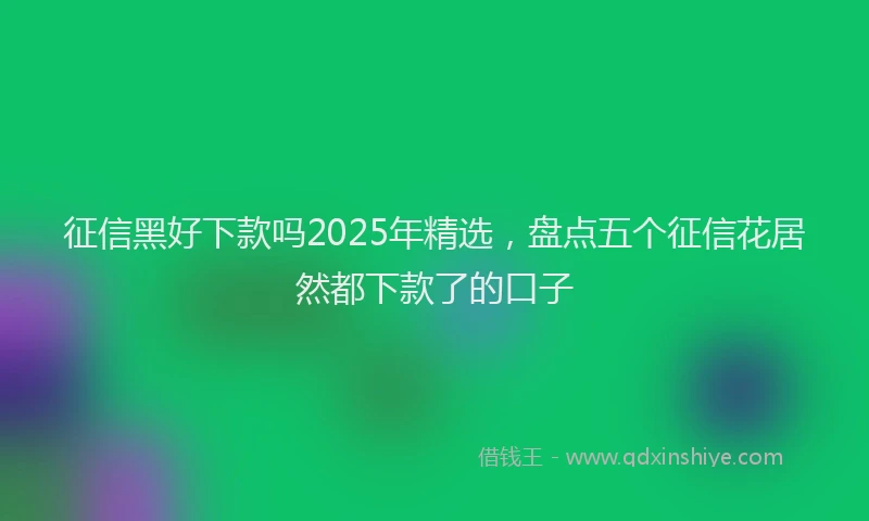 征信黑好下款吗2025年精选，盘点五个征信花居然都下款了的口子