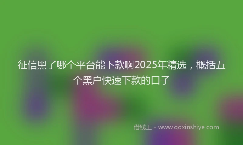 征信黑了哪个平台能下款啊2025年精选，概括五个黑户快速下款的口子