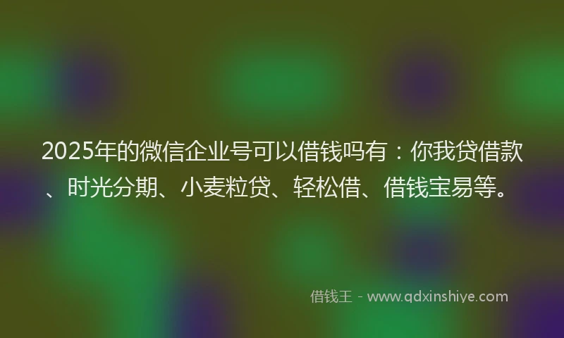 2025年的微信企业号可以借钱吗有：你我贷借款、时光分期、小麦粒贷、轻松借、借钱宝易等。