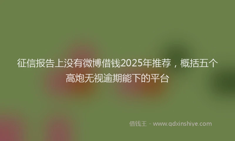 征信报告上没有微博借钱2025年推荐，概括五个高炮无视逾期能下的平台
