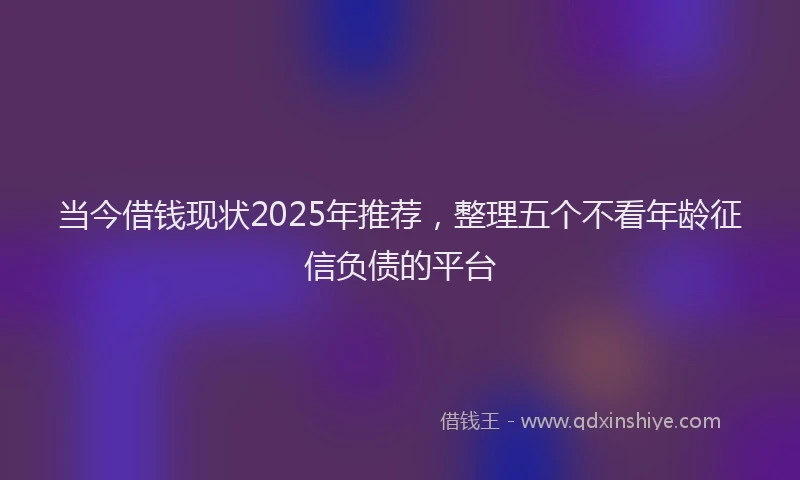 当今借钱现状2025年推荐，整理五个不看年龄征信负债的平台