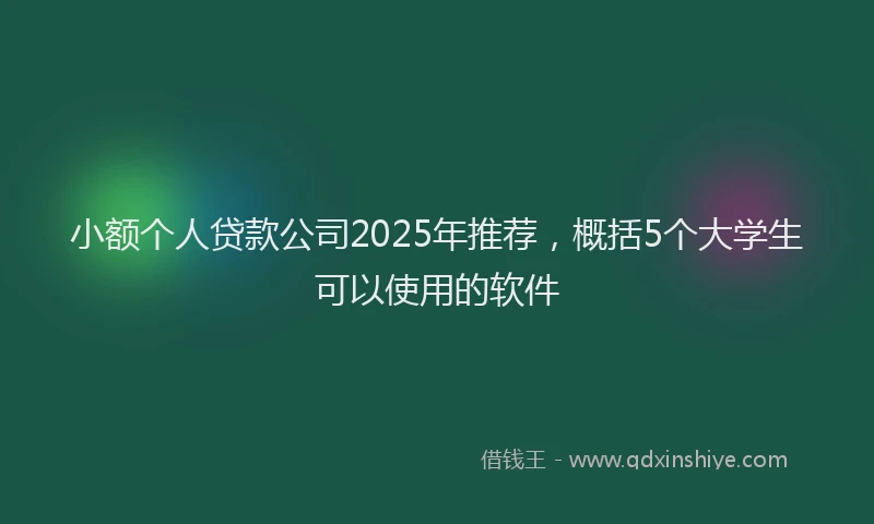 小额个人贷款公司2025年推荐，概括5个大学生可以使用的软件