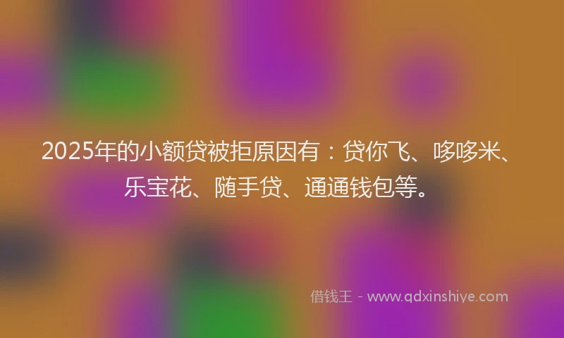 2025年的小额贷被拒原因有：贷你飞、哆哆米、乐宝花、随手贷、通通钱包等。