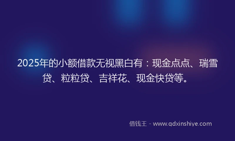 2025年的小额借款无视黑白有：现金点点、瑞雪贷、粒粒贷、吉祥花、现金快贷等。