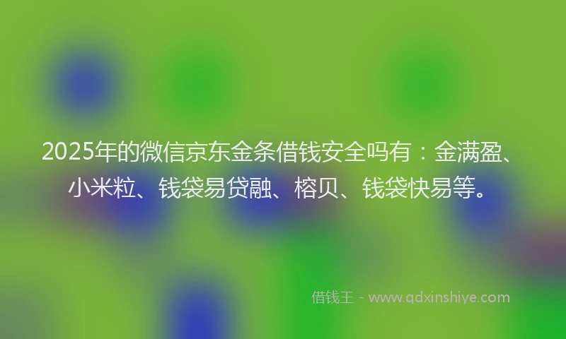 2025年的微信京东金条借钱安全吗有：金满盈、小米粒、钱袋易贷融、榕贝、钱袋快易等。