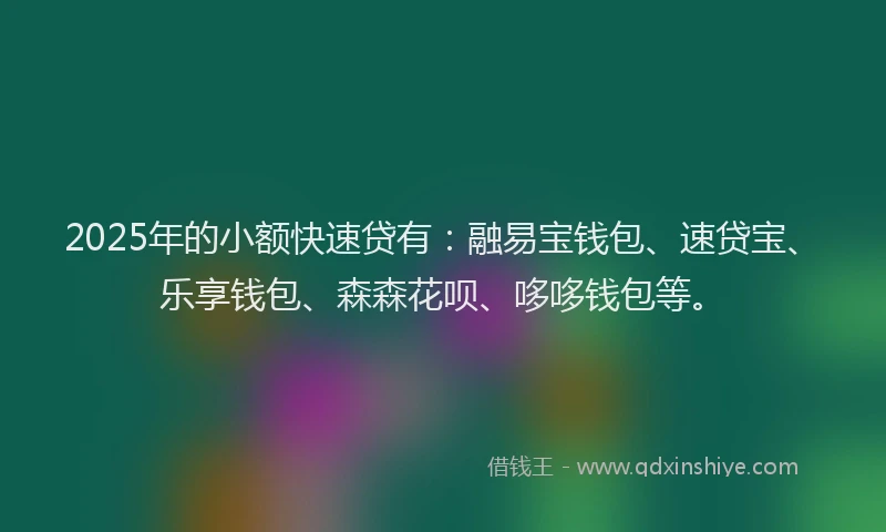 2025年的小额快速贷有：融易宝钱包、速贷宝、乐享钱包、森森花呗、哆哆钱包等。