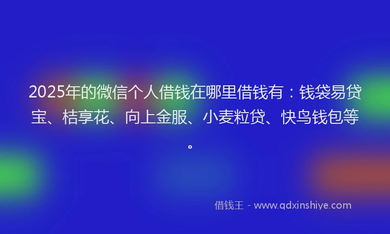 2025年的微信个人借钱在哪里借钱有：钱袋易贷宝、桔享花、向上金服、小麦粒贷、快鸟钱包等。