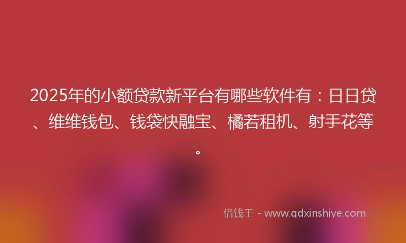 2025年的小额贷款新平台有哪些软件有：日日贷、维维钱包、钱袋快融宝、橘若租机、射手花等。